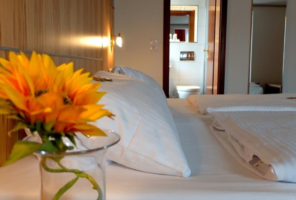 Hotel Am Schelztor Esslingen am Neckar Phòng bức ảnh