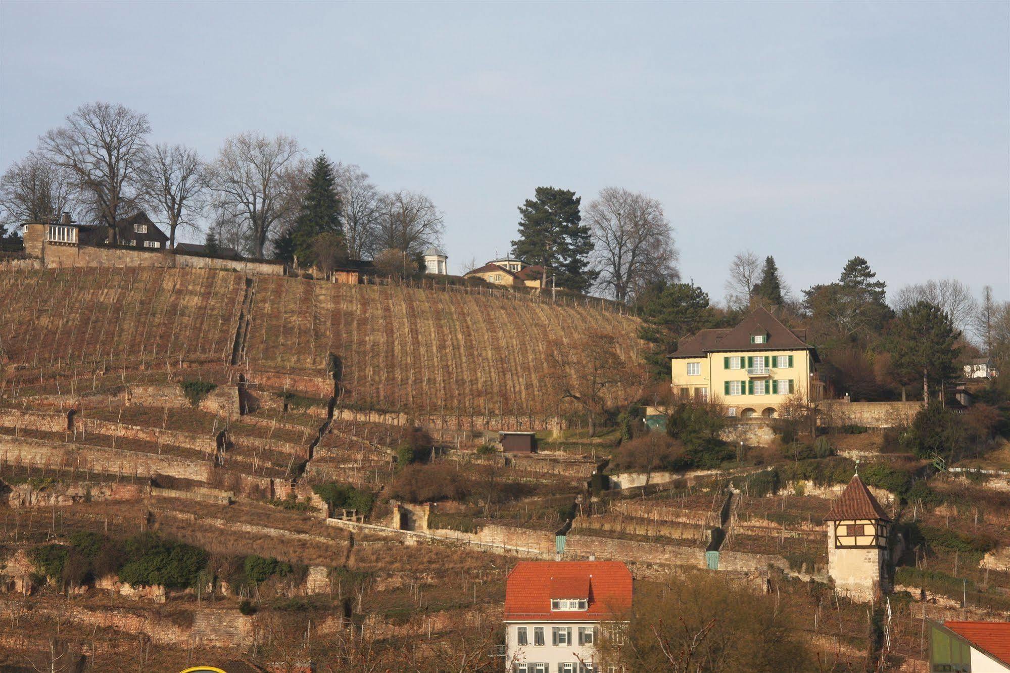 Hotel Am Schelztor Esslingen am Neckar Ngoại thất bức ảnh